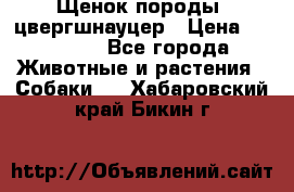 Щенок породы  цвергшнауцер › Цена ­ 30 000 - Все города Животные и растения » Собаки   . Хабаровский край,Бикин г.